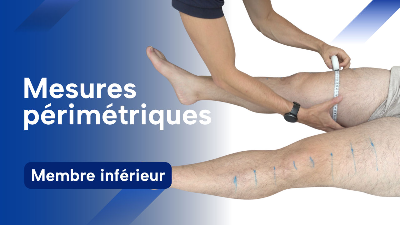 Vignette des mesures de périmètre de la cuisse et de la jambe